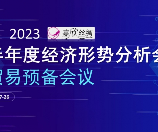 业务总额不变，业务质量提升 东升国际丝绸召开2023半年度经济局势分析会业务预备会议